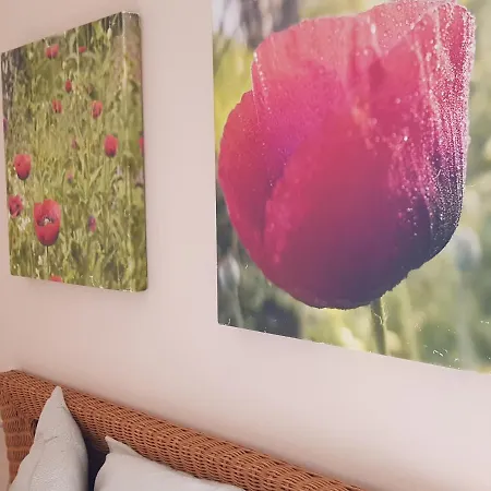 Guest house The Poppies - 100m Ocean - Private *