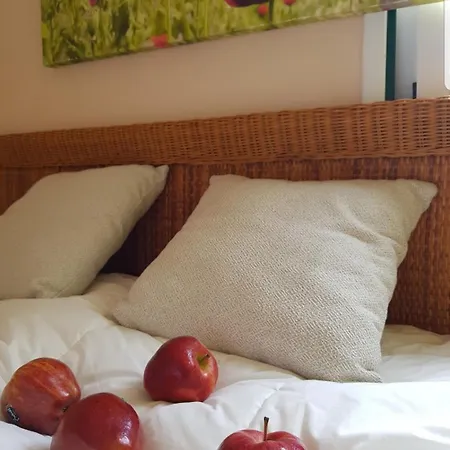 The Poppies - 100m Ocean - Private Guest house
