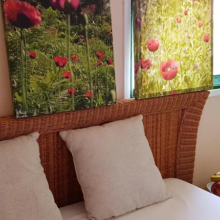 The Poppies - 100m Ocean - Private