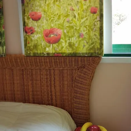 The Poppies - 100m Ocean - Private Pensión Candelaria