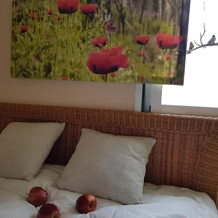 Pensión The Poppies - 100m Ocean - Private *