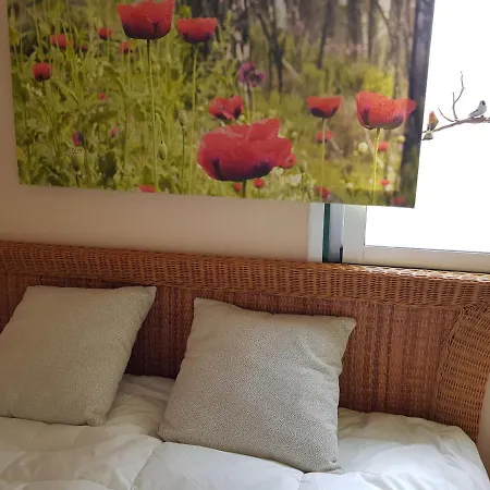 The Poppies - 100m Ocean - Private Pensión