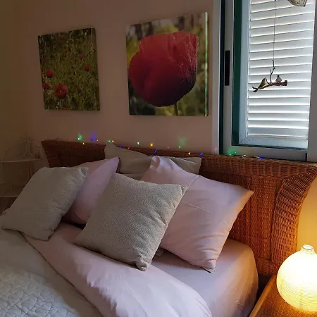 The Poppies - 100m Ocean - Private Candelaria