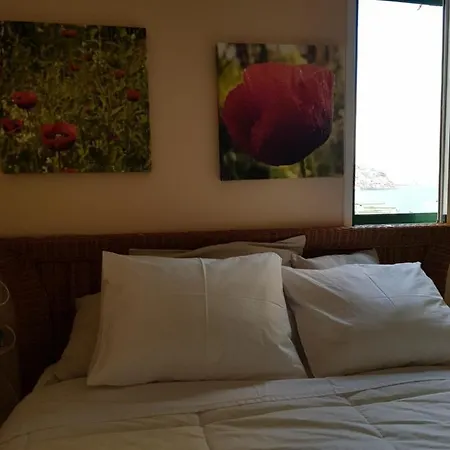 The Poppies - 100m Ocean - Private Pensión Candelaria