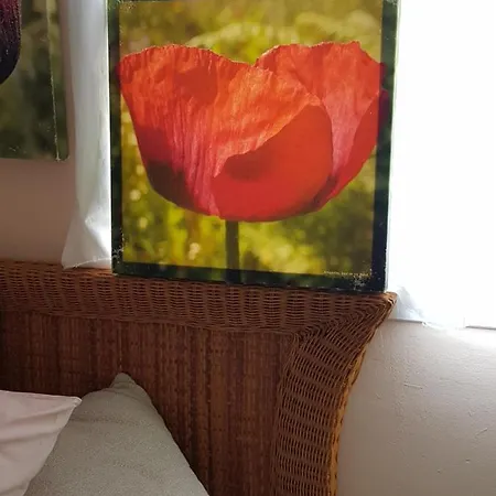 The Poppies - 100m Ocean - Private Pensión Candelaria